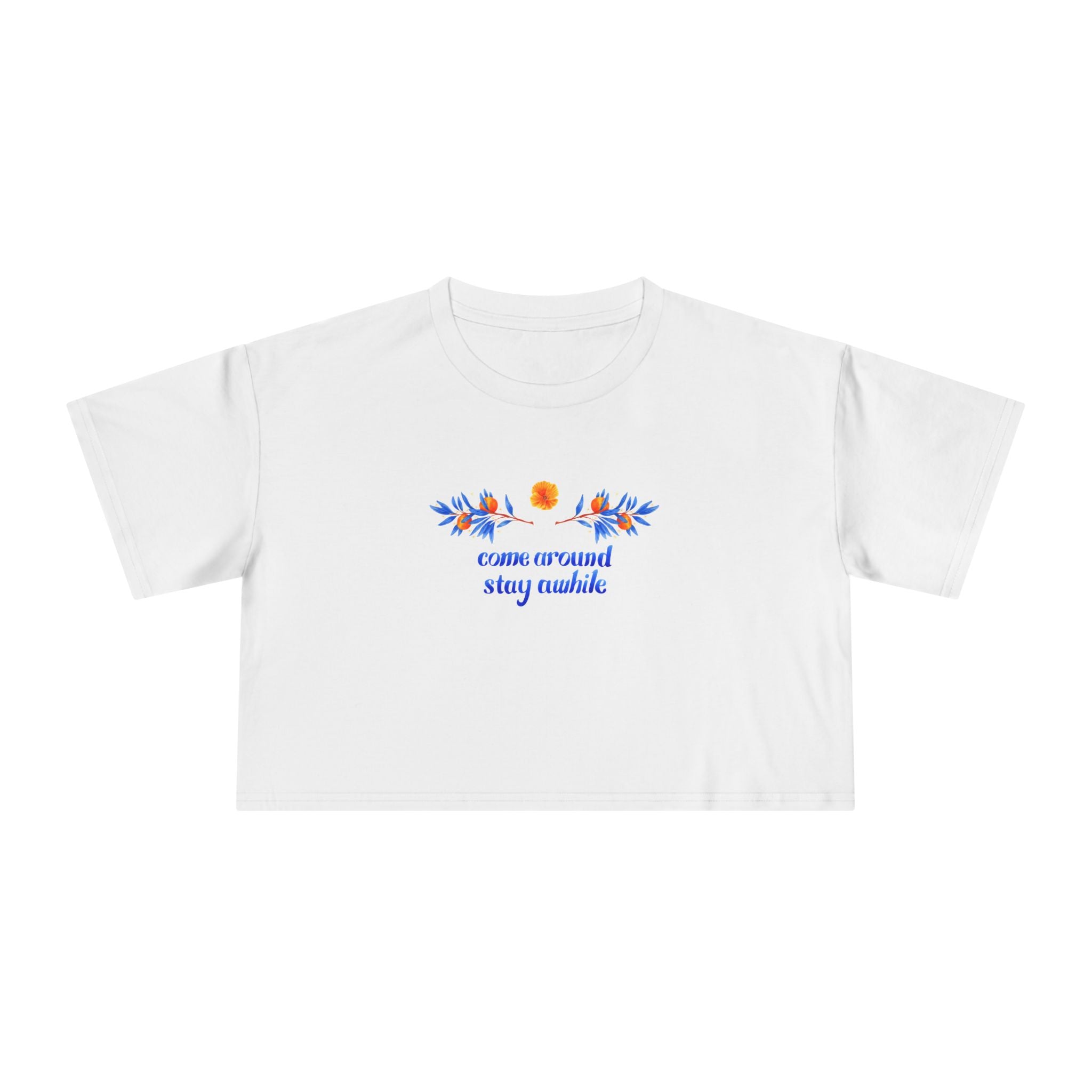 Come Around Stay Awhile Crop Top - White