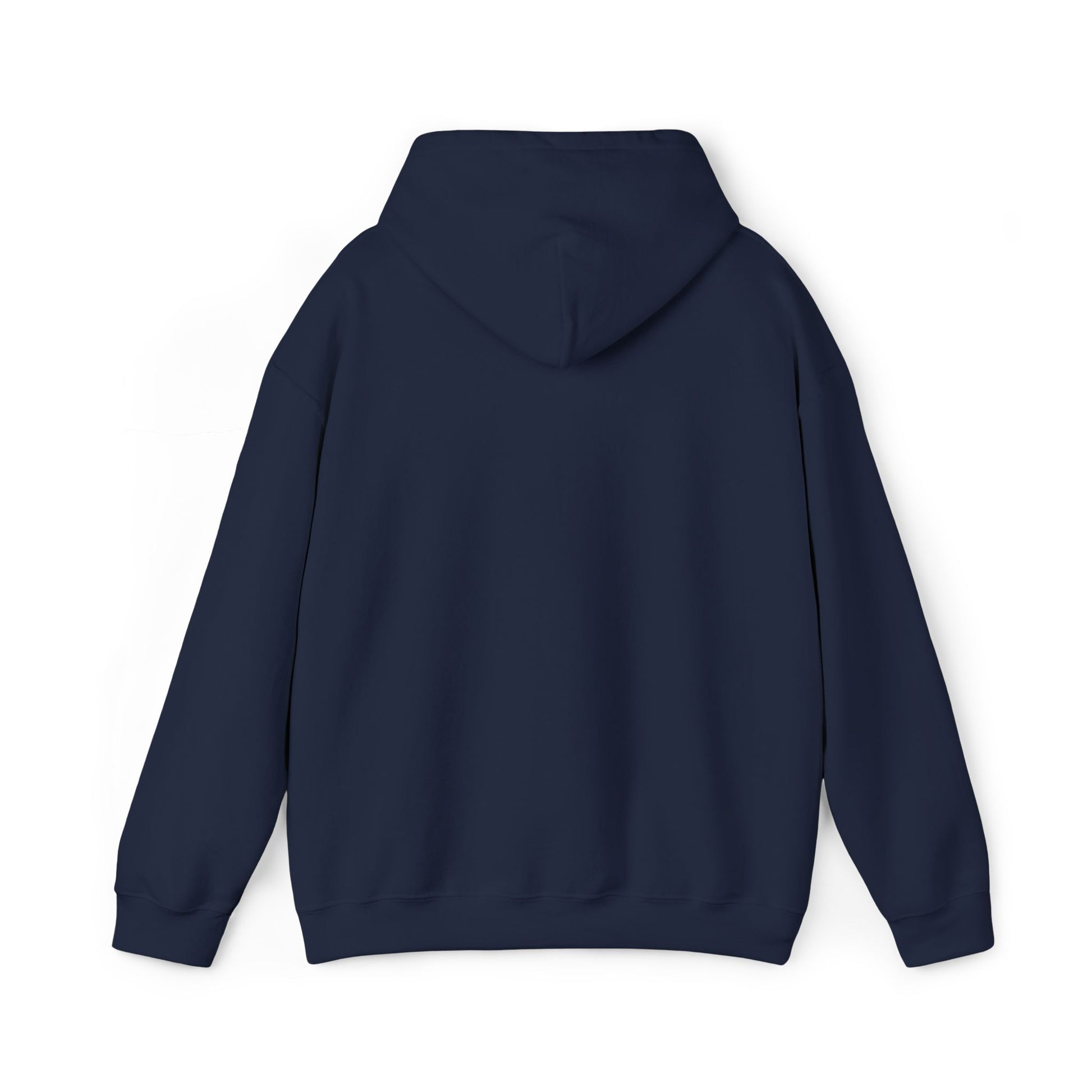 Baloween Bal Pals Hoodie (Embroidered) - Navy