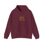Bal Pals Hoodie (Embroidered) - Multiple Colors